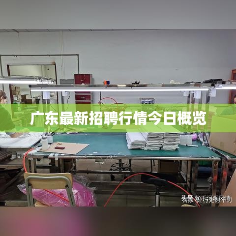 广东最新招聘行情今日概览