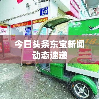 今日头条东宝新闻动态速递