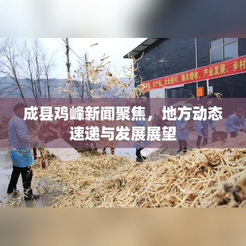 成县鸡峰新闻聚焦，地方动态速递与发展展望