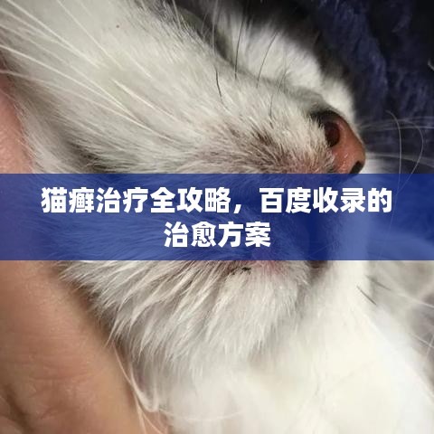 猫癣治疗全攻略，百度收录的治愈方案