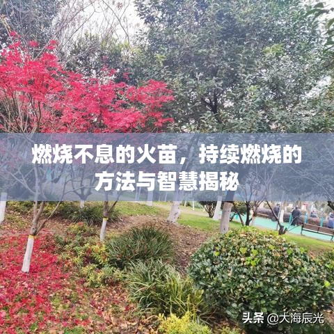 燃烧不息的火苗，持续燃烧的方法与智慧揭秘