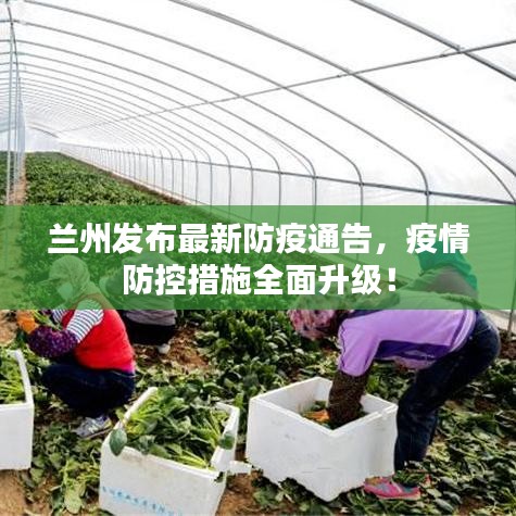 兰州发布最新防疫通告，疫情防控措施全面升级！