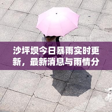 沙坪坝今日暴雨实时更新，最新消息与雨情分析