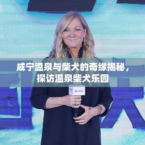 咸宁温泉与柴犬的奇缘揭秘，探访温泉柴犬乐园