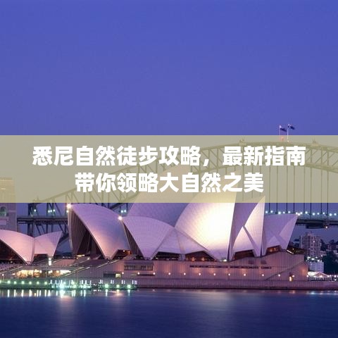 悉尼自然徒步攻略，最新指南带你领略大自然之美