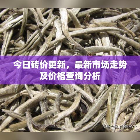 今日砖价更新，最新市场走势及价格查询分析