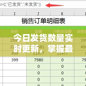 今日发货数量实时更新，掌握最新物流动态查询表