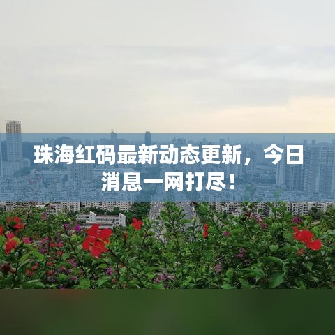 珠海红码最新动态更新，今日消息一网打尽！