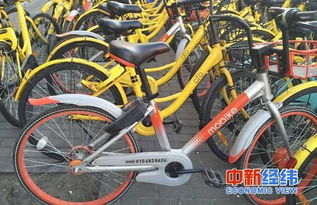 小蓝单车 版本,实地验证分析策略-pro_v3.470