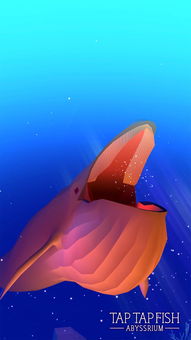 深海水族馆最新版本下载,快速解答策略实施&amp;PalmOS_v5.352
