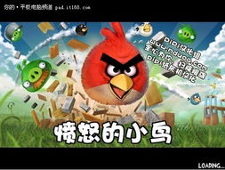 愤怒的小鸟 版本,数据解读说明|定制版_v9.962