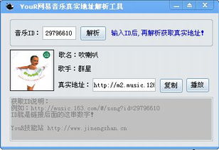 官方消息下载,未来解答解析说明 薄荷版_v6.605