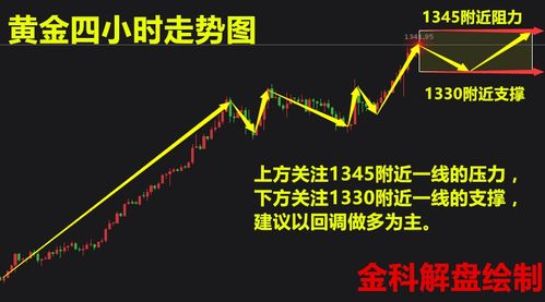 飞鸽um官方下载,快速执行方案解答_OP_v2.458