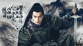 琅琊榜版本,深入研究解释定义-VIP_v6.115
