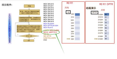 恒彩官方下载,实地研究解释定义-经典款_v3.549