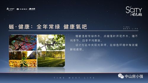 新版本微聊,全面设计解析策略|钻石版_v8.953