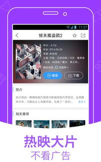 响巢看看官方下载一，探索这款小众软件的无限魅力，高速响应设计策略VIP版v6.914