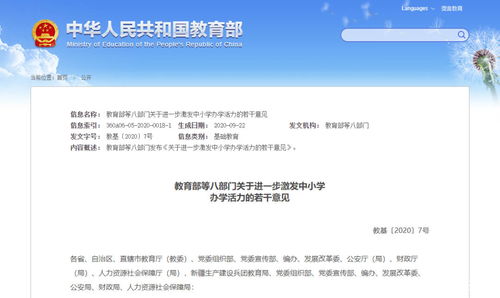 高版本的羽化，实效解读性策略与创意工作的完美融合_4K_v10.651