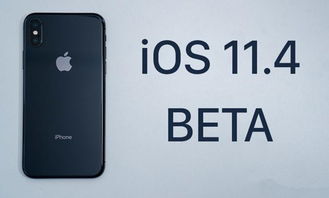 低版本ios软件,实地解析说明_iShop_v4.501