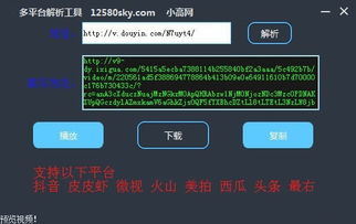 下载唯品会最新版本,深入数据应用解析&amp;HT_v8.663