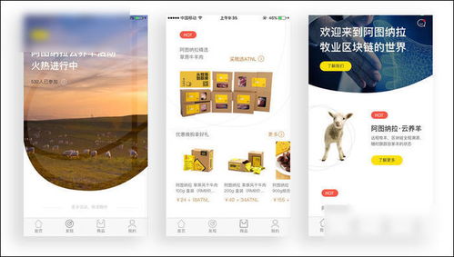 天下彩官方网站下载,实践性计划实施_苹果版_v2.388