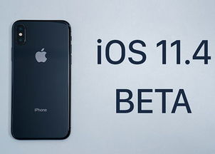 抖音老版本下载ios,可靠性执行方案-5DM_v2.158