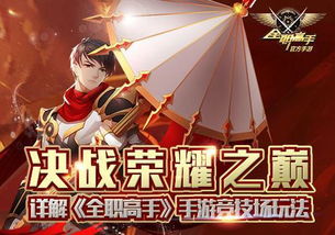全职高手获取版本,互动性策略解析|Q_v10.372