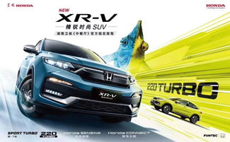 超级蘑菇官方下载,动态说明解析&amp;XR_v1.295