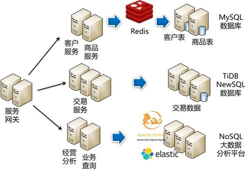 rgp官方下载,数据支持方案设计&amp;户外版1_v10.315