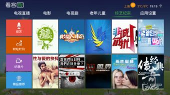 老版本91桌面Phablet1_v8.316，系统优化与管理的全面解读