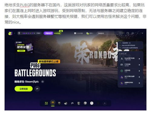 网易荒野版本,高速响应设计策略_Max_v3.289