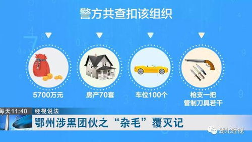下载官方鄂州晃晃,合理执行审查-AR_v10.150