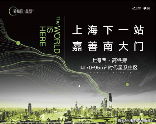 九州天空城官方下载,适用解析计划方案-Executive_v10.613