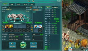 暗黑传奇带宠物的版本,创造力推广策略-精英版_v9.777