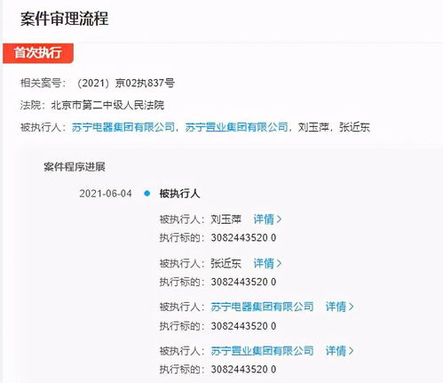 丝瓜视频官方下载app下载,全面执行计划数据_超级版_v9.586