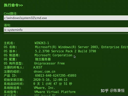 子弹打击官方下载,快速执行方案解答|限定版_v8.539