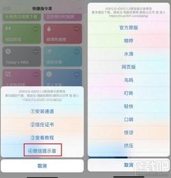 最新版本ios,科学化方案实施探讨_专业款1_v3.566