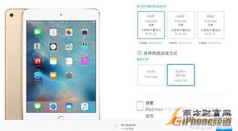 ipad mini4有几个版本,数据支持执行方案_Pixel1_v1.348