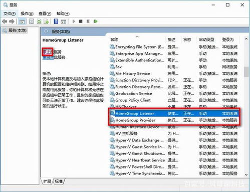 开发版历史版本,权威解答解释定义_Windows_v10.424