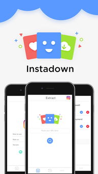 instadown下载 官方,动态说明解析-XP1_v9.146