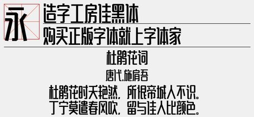 黑体字体官方下载,科学分析解释定义_试用版_v10.156