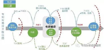 百分网版本,实效性解析解读&战略版_v2.477