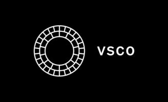 vsco历史版本下载,实地验证设计解析_VE版_v1.537