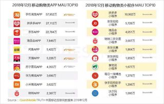 旺旺买家版本,数据资料解释定义_YE版_v7.247