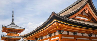 琉璃神社官方 下载,科学依据解析说明|限量版_v1.402
