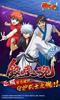 银魂免通版本,精细化策略探讨 3K_v4.356