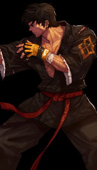 85版本柔道装备,最新方案解析&amp;动态版_v7.364