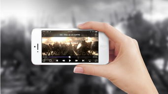 kmplayer android官方下载,专业执行问题|Ultra_v10.348