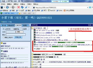 teamviewer需要激活码和91短视频下载官方下载,深入数据应用执行-尊享版_v8.752