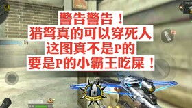 CF手游擎天图片与中信万通至信版下载官方，新手友好操作指南与持久方案设计 Z_v6.325